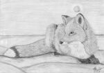  ambiguous_gender canid canine dipstick_tail feral fox fur graphite_(artwork) greyscale lied_etal mammal markings monochrome nude pencil_(artwork) simple_background solo tail_markings traditional_media_(artwork) tuft white_background 