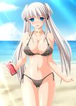  beach bikini blue_eyes blue_sky blush breasts cloud collarbone covered_nipples cowboy_shot day horizon huge_breasts jewelry kafu long_hair looking_at_viewer mabinogi nao_(mabinogi) navel neck_ring nipples open_mouth outdoors sand see-through side-tie_bikini sky solo swimsuit thigh_gap transparent twintails water wide_hips 