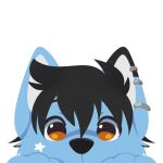  1:1 alpha_channel anthro black_body black_ears black_eyebrows black_fur black_hair black_nose blue_body blue_ears blue_fur brown_eyes canid canine canis cheek_tuft digital_media_(artwork) dipstick_ears ear_piercing ear_ring eyebrows facial_markings facial_tuft feve fox fur glistening glistening_eyes hair head_markings hybrid icon male mammal markings multicolored_ears peekabu piercing sepf solo star_marking tuft white_body white_fur white_inner_ear wolf 