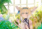  1girl absurdres animal_ears arknights blonde_hair bug butterfly flower fox_ears green_eyes greenhouse hairband highres infection_monitor_(arknights) looped_braids mangosuchin oripathy_lesion_(arknights) sunlight suzuran_(arknights) watering_can 