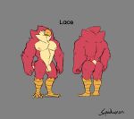  avian balls bird genitals hi_res lace_(small_on_top) male model_sheet muscular muscular_male nipples nude penis simple_background small_on_top solo spedumon 