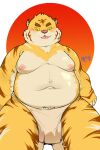 2021 anthro asian_clothing belly big_belly clothing east_asian_clothing felid fundoshi hi_res humanoid_hands japanese_clothing kemono male mammal moobs nipples nron000825 overweight overweight_male pantherine solo tiger underwear 