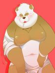  2022 anthro bandage belly big_belly black_nose blush bodily_fluids brown_body drooling giant_panda hi_res humanoid_hands kemono male mammal moobs nipples nron000825 overweight overweight_male red_background saliva simple_background solo ursid white_body 