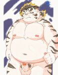  0c95yzr015ps0j5 2022 anthro belly big_belly blush felid genitals hi_res humanoid_genitalia humanoid_hands humanoid_penis kemono licho_(tas) lifewonders male mammal moobs navel nipples overweight overweight_male pantherine penis pubes solo tiger tokyo_afterschool_summoners video_games white_body 