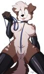  absurd_res anthro artbyyellowdog big_breasts blep breasts canid canine canis clothing collar domestic_dog ear_piercing female genitals gloves handwear hi_res latex_gloves leash legwear mammal mostly_nude piercing pussy pussy_floss solo thigh_highs tongue tongue_out 