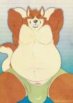  anthro belly big_belly bulge canid canine canis clothing clovishusky genitals hands_behind_head hi_res male mammal muscular overweight penis solo strongfat underwear wolf 