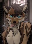  2022 angiewolf anthro blep blue_eyes blurred_background fur fur_markings male mammal markings multicolored_body multicolored_fur solo tongue tongue_out 