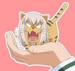  1girl absurdres animal animalization bangs blank_eyes commentary fangs fusion girls_und_panzer grey_hair growling highres holding holding_animal itsumi_erika miniature outline palmtop_tiger parody pink_background shikokuken_(mrykk24) simple_background tiger toradora! v-shaped_eyes white_outline 