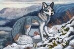  2022 ambiguous_gender black_nose canid canine canis day detailed_background digital_media_(artwork) domestic_dog feral flashlioness fur grey_body grey_fur mammal outside paws smile snow solo white_body white_fur 