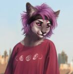  anthro clothing domestic_cat felid feline felis female hair lostgoose mammal purple_hair shirt solo topwear 