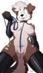  absurd_res anthro areola artbyyellowdog big_breasts blep breasts canid canine canis clothing collar domestic_dog ear_piercing female genitals gloves handwear hi_res latex_gloves leash legwear mammal mostly_nude nipples piercing pussy pussy_floss solo thigh_highs tongue tongue_out 