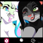  2021 anthro astrid_vasile black_body black_border black_fur blue_eyes blue_hair border breast_squish breasts duo featureless_breasts felid feline female fur fur_markings ghostlywafflez green_body green_fur grey_body grey_fur hair heart_(marking) hi_res kavarii_vasile looking_at_another lynx mammal markings moon_(marking) nude one_eye_closed open_mouth phone_screen pink_eyes pink_hair pink_nose selfie sibling signature sister sisters spots squish teeth tongue tongue_out white_body white_fur wink yellow_sclera 