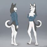  2022 4_fingers 4_toes anthro blue_eyes bottomless breasts canid canine canis claws clothed clothing domestic_dog feet female fingers fur genitals grey_body grey_fur hana_(jishinu) hi_res hoodie husky jishinu mammal multicolored_body multicolored_fur nipples nordic_sled_dog pussy solo spitz standing text toe_claws toes topwear url white_body white_fur 