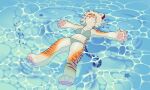  absurd_res anthro clothing echo_(lostcatposter) felid female hi_res lostcatposter mammal pantherine sea swimming swimwear tiger water 
