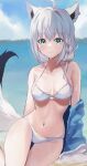  1girl absurdres ahoge animal_ears aqua_eyes bangs beach bikini blurry blush breasts cleavage cloud collarbone cowboy_shot depth_of_field ear_piercing eyebrows_visible_through_hair fox_ears fox_tail grey_hair halterneck highres hololive long_hair looking_at_viewer medium_breasts navel nixin404 ocean off_shoulder piercing shirakami_fubuki sky smile solo stomach swimsuit tail thighs two-tone_tail virtual_youtuber white_bikini 