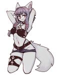  2022 anthro braided_hair canid canine clothed clothing female fluffy fluffy_tail fur hair hi_res looking_at_viewer mammal reccand simple_background skimpy smile solo standing thick_thighs white_body white_fur 