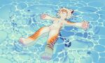  absurd_res anthro echo_(lostcatposter) exhibitionism felid female hi_res lostcatposter mammal nude pantherine sea solo tiger water 
