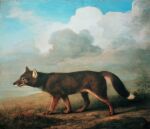  1772 18th_century ambiguous_gender ancient_art brown_body canid canine canis cloud dingo feral george_stubbs looking_away mammal outside painting_(artwork) solo traditional_media_(artwork) walking 