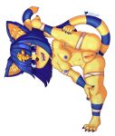  animal_crossing ankha_(animal_crossing) anthro anus areola blue_hair domestic_cat felid feline felis female genitals hair hi_res mammal nintendo nipples one_leg_up orez_art pussy raised_leg simple_background solo video_games white_background 