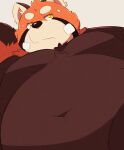  2022 96tning ailurid anthro belly big_belly bodily_fluids kemono male mammal moobs navel orange_body overweight overweight_male red_panda simple_background solo sweat 