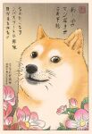  2020 ambiguous_gender brown_eyes bust_portrait canid canine canis doge dogelore domestic_dog feral flower griffinisland japanese_text looking_at_viewer mammal meme plant portrait shiba_inu smile smiling_at_viewer solo spitz text translation_request ukiyo-e 