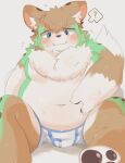  2022 anthro belly big_belly blue_eyes blush brown_body brown_fur bulge canid canine clothing fur hi_res kemono male mammal navel overweight overweight_male rokacake sitting solo underwear 