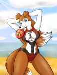  anthro beach breasts canid canine canis clothing colleen collie domestic_dog female frisbee frisbee_in_mouth hands_behind_head herding_dog hi_res looking_at_viewer mammal momo-the-bunny nipple_outline pastoral_dog road_rovers rough_collie seaside sheepdog solo swimwear 