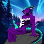  absurd_res anthro butt dragon erection fur genitals hi_res jinxed_arts male nipples nude penis solo 