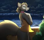  boat bottomless canid canine clothed clothing collar eyes_closed female feretta fox fur grey_body grey_fur hi_res mammal outside red_fox silver_fox smile topwear topwear_only translucent translucent_clothing vehicle vix_(feretta) water watercraft 