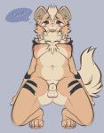  absurd_res animal_genitalia anthro balls big_nipples blue_eyes blush breasts butt canid canine chest_tuft fluffy fluffy_tail fur genitals growlithe gynomorph hi_res intersex lvst mammal neck_tuft nintendo nipples orange_body orange_fur pawpads paws pok&eacute;mon pok&eacute;mon_(species) round_ears sheath simple_background slightly_chubby solo speech_bubble stripes submissive tan_body text thick_thighs tongue tuft video_games 