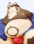  2022 anthro asian_clothing belly big_belly blush brown_body bulge canid canine clothing east_asian_clothing fundoshi hi_res japanese_clothing kemono lifewonders live-a-hero male mammal moobs navel nipples overweight overweight_male raccoon_dog red_clothing red_fundoshi red_underwear shoen solo tanuki torausimuma7 underwear video_games 