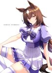  1girl animal_ears bangs bow bowtie breasts brown_eyes brown_hair halcon highres horse_ears horse_girl horse_tail horseshoe_ornament long_hair looking_at_viewer pleated_skirt puffy_short_sleeves puffy_sleeves purple_bow purple_bowtie purple_shirt sailor_collar sailor_shirt school_uniform serafuku shirt short_sleeves sirius_symboli_(umamusume) skirt smile solo tail thighhighs tracen_school_uniform umamusume very_long_hair white_background white_legwear white_skirt 