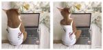  ambiguous_gender anthro anthrofied bed border clothed clothed_feral clothing computer domestic_cat edit felid feline felis female feral furniture laptop mammal on_bed photo_manipulation solo_focus unknown_artist white_border 