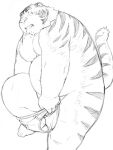 2013 anthro belly big_belly clothing felid humanoid_hands kemono magumataishi male mammal moobs navel overweight overweight_male pantherine simple_background tiger underwear undressing white_background 