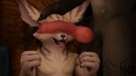  anthro balls blizzard_entertainment can&#039;t_see_the_haters canid duo forgon genitals happy hi_res knot male male/male mammal meme perromalo video_games vulpera warcraft were werecanid worgen 
