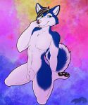  absurd_res animal_genitalia anthro balls canid canine canis domestic_dog genitals girly hi_res husky male mammal nordic_sled_dog nude pinup pose sheath spitz thatblackfox_(artist) 