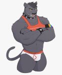  anthro armband black_body black_fur bracelet bulge claws clothing collar felid fur hair harness hi_res jewelry jrjresq lgbt_pride male mammal muscular muscular_anthro muscular_male pantherine pride_colors simple_background smile solo spiked_bracelet spiked_collar spikes underwear 