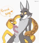  &lt;3 anthro balls blush bodily_fluids canid canine canis coiling cyancoyote dreamworks duo fellatio fur genitals good_boy hands_behind_back hi_res licking long_tongue male male/male mammal mr._snake_(the_bad_guys) mr._wolf_(the_bad_guys) oral penile penis penis_lick reptile scalie sex simple_background smile sweat teeth the_bad_guys tongue tongue_coil tongue_out white_background wolf yellow_sclera 