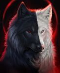  2022 ambiguous_gender black_body black_fur canid canine canis digital_media_(artwork) feral fur hi_res looking_at_viewer mammal muns11 red_eyes solo white_body white_fur wolf 