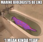  2022 bathroom bathtub cobra english_text female feral hi_res humor inside keeshee meme ncs partially_submerged photo_background real reptile scalie shitpost snake snake_hood solo text water what 
