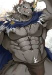  abs anthro blaidd_(elden_ring) bulge canid canine canis cape chung0_0 clothing elden_ring fangs fromsoftware hi_res looking_at_viewer male mammal muscular muscular_anthro muscular_male nipples pecs scar solo underwear video_games wolf 