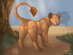  anus disney felid female feral genitals hi_res lion mammal nauticalcanine pantherine pussy sarabi solo solo_focus teasing the_lion_king 