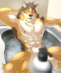  abs anthro barrel_(live-a-hero) bath bathing biceps blush canid canine canis convenient_censorship hi_res hiei0221 lifewonders live-a-hero male mammal muscular muscular_anthro muscular_male nipples nude pecs shampoo_bottle solo spread_legs spreading video_games wolf 
