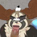  accessory anthro bodily_fluids brown_body brown_fur bruised canid canine duo erection fellatio forced forced_oral fur genitals headband lifewonders live-a-hero male male/male mammal oral overweight penile penis raccoon_dog raio_owo rape saliva sex shoen sweat tanuki video_games 