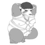  2022 anthro balls bdsm belly bondage bound canid canine erection genitals jackboot_ihi male mammal nipples overweight penis raccoon_dog restraints rope rope_bondage rope_harness simple_background solo tanuki young 
