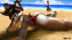  absurd_res anthro beach bikini blush boxers_(clothing) canid canine clothing erection felid feline fox hi_res kunwe light luigrea lying lynx male mammal nude pawpads public public_exposure sea seaside sky solo sunlight swimwear underwear water 