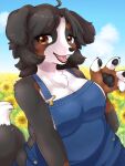  angel_welina anthro bernese_mountain_dog big_breasts breasts canid canine canis clothing curvy_figure detailed_background domestic_dog fangs female flower hair hi_res kemono koto0v0haru looking_at_viewer mammal molosser mountain_dog paws plant slightly_chubby smile smiling_at_viewer solo sunflower swiss_mountain_dog thick_thighs tongue voluptuous 