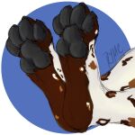  absurd_res african_wild_dog ambiguous_gender anthro canid canine claws digital_drawing_(artwork) digital_media_(artwork) feet foot_fetish foot_focus foot_tuft hi_res mammal markings pawpads paws ryme shaded signature simple_background simple_shading solo toe_claws tuft 