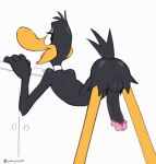  anatid anseriform anthro anus avian balls bedroom_eyes bird black_body black_feathers butt cyancoyote daffy_duck duck feathers genitals hi_res looking_at_viewer looking_back looking_back_at_viewer looney_tunes male narrowed_eyes nude open_mouth penis seductive simple_background solo warner_brothers white_background 