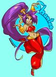  2019 blue_eyes breasts clothing ear_piercing ear_ring english_text female fingers footwear genie hair hi_res humanoid humanoid_pointy_ears long_hair navel not_furry open_mouth open_smile piercing ponytail purple_hair shantae shantae_(series) signature smile solo text video_games wayforward zummeng 